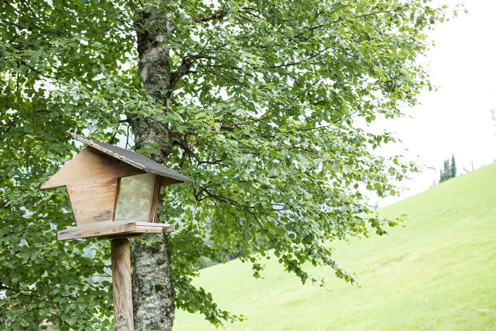 Ferienhaus Sara Bad Kleinkirchheim Zewnętrze zdjęcie